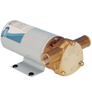 Pompe transfert d'huile 12V