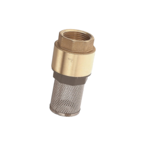 Crépine clapet 3/4 BSP femelle